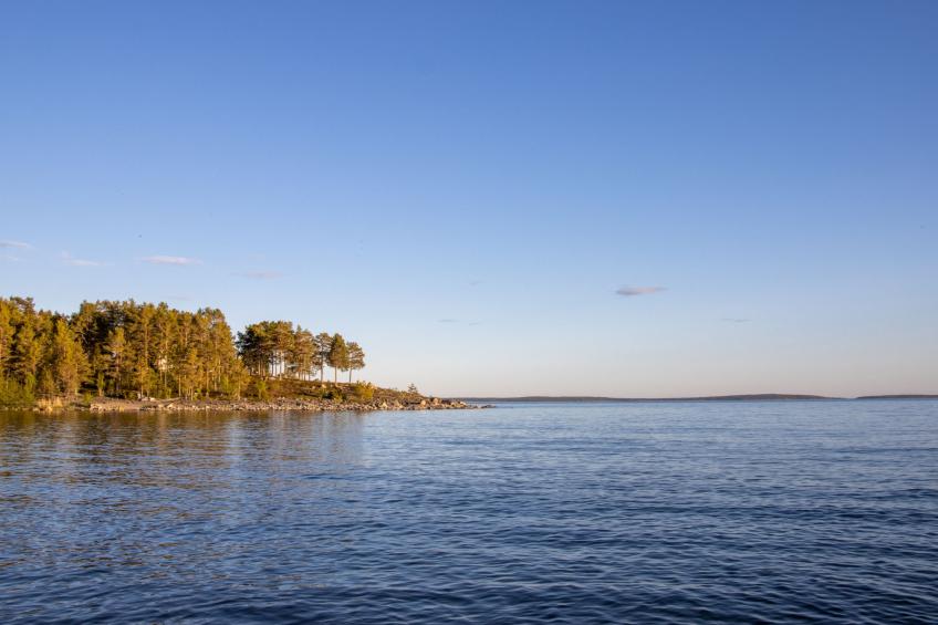 Hölick Tallen 1 - foto 37