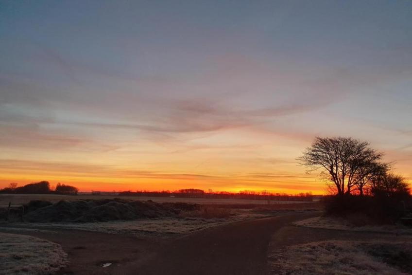 Zoutelandseweg 2 Biggekerke - foto 33