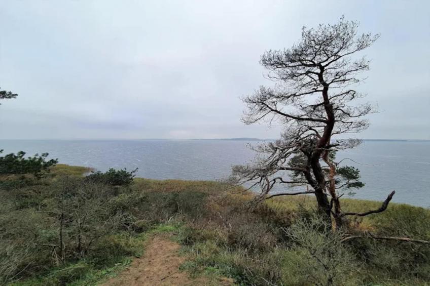 Apartment, Lütow - foto 26