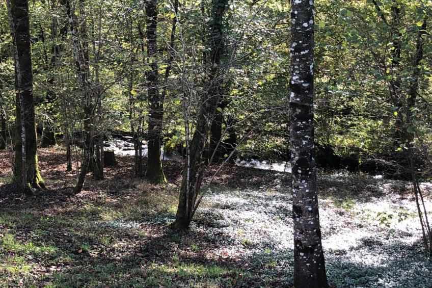 direkt am Strand - foto 34