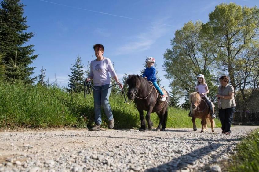 Feierlenhof, 2-Zimmerwohnung Granny, Parterre - foto 15