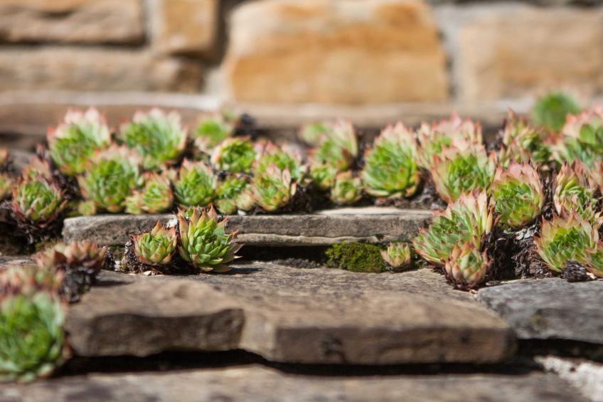 Abitanti Rustic Apartment with Balcony - Two Bedroom Apartment with Balcony - foto 15