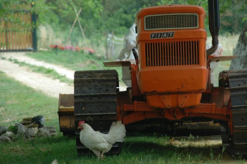 Unabhaengige Wohnung in Amelia mit Garten, Grill - foto 18