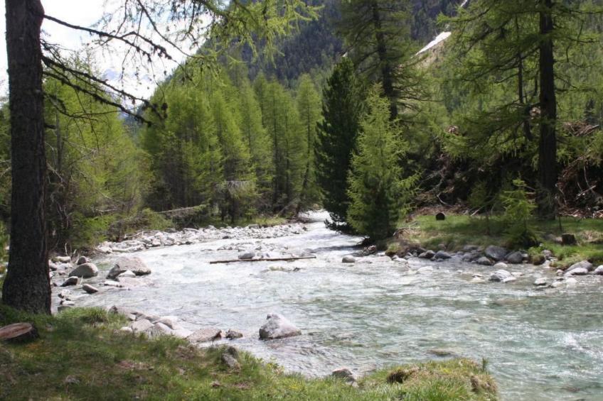 Chesa Arettas - foto 47