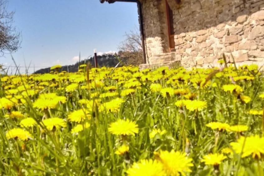 Piccola casa romantica - foto 44