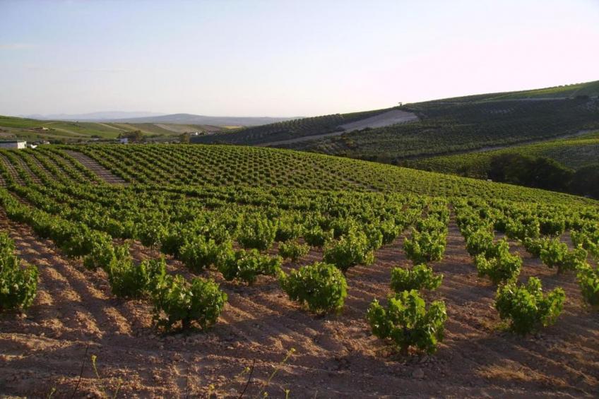 piso confortable en Montilla - foto 17