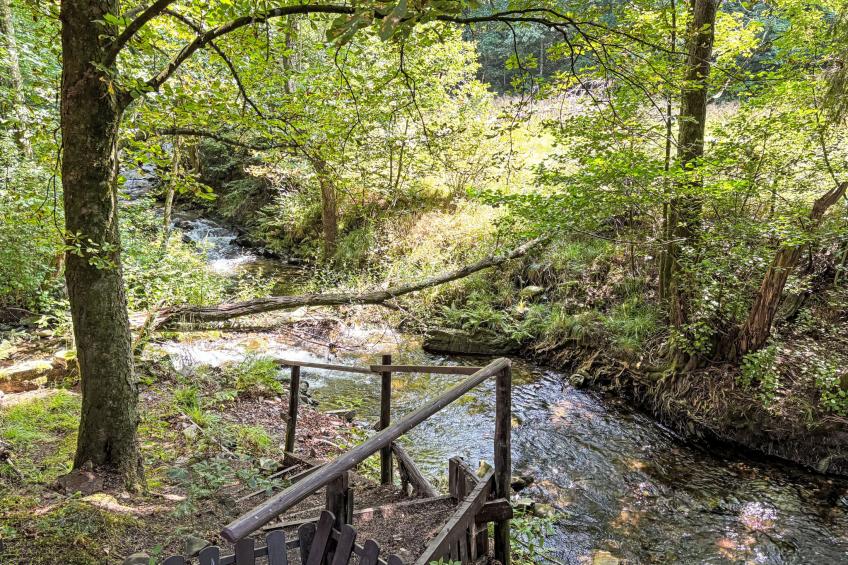 Altes Forsthaus - foto 26