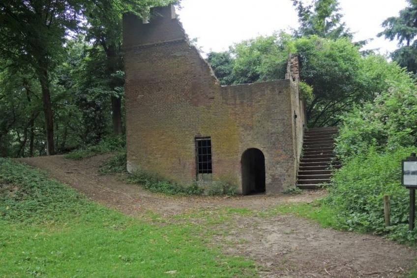 in Rhenen bei Grebbeberg und Wald - foto 17