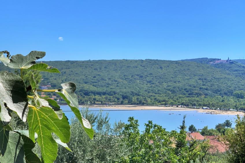 Apartment Santic - foto 8