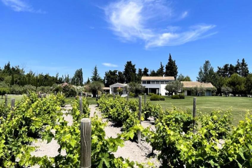 Mas De Panière - Saint Remy De Provence - foto 50