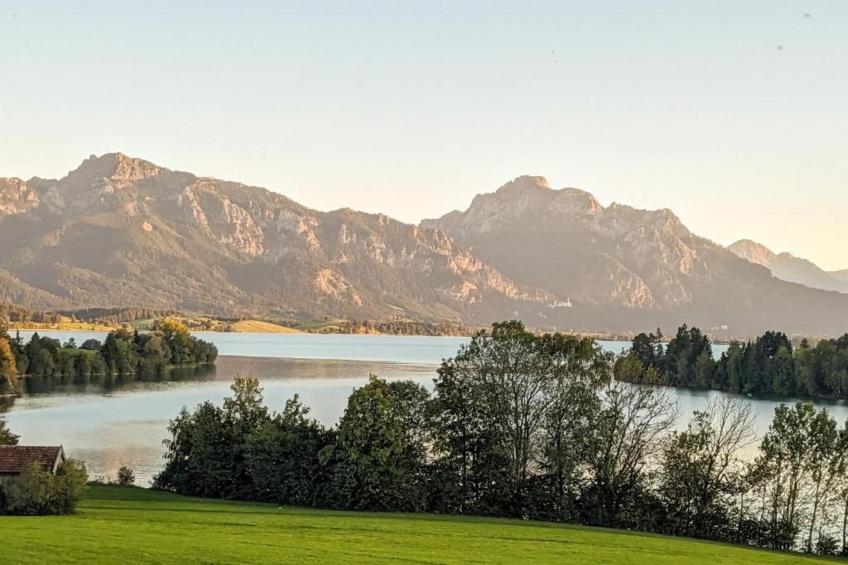 Haus Bergblick - foto 36