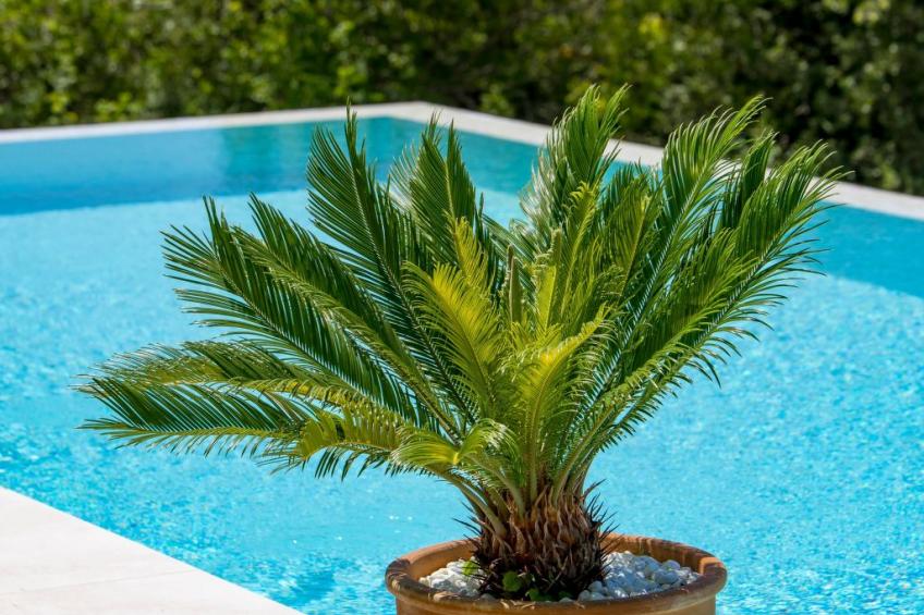 Ferienvilla "Monte Bibali" mit Infinity-Pool - foto 15