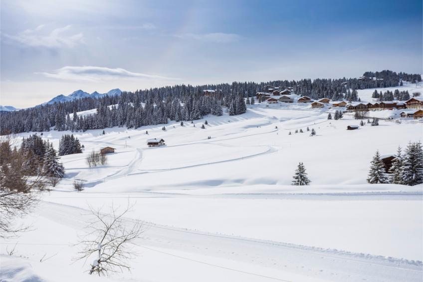 LES SAISIES Les Chalets des Cimes S8L 4 pièces 8 pers. + - foto 30