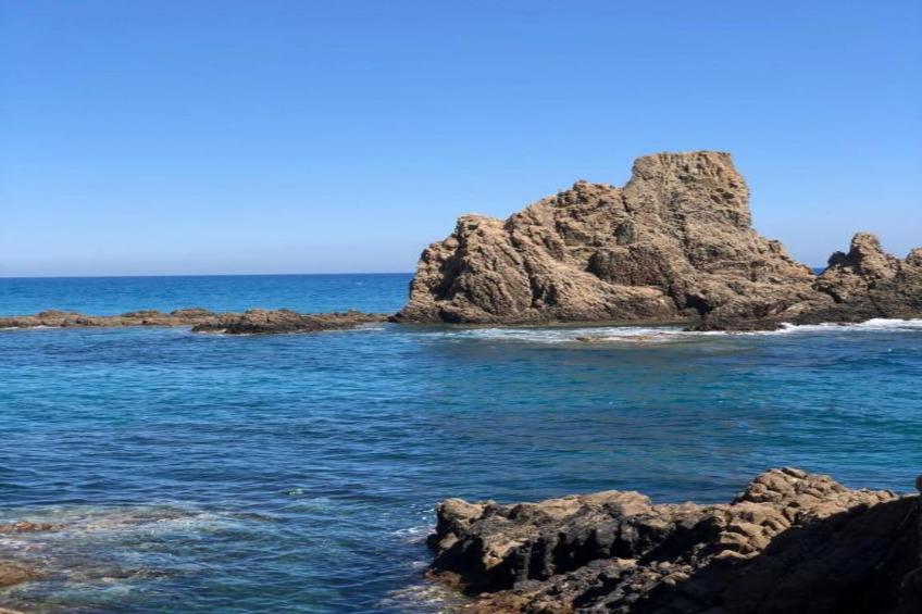 1habitación - foto 35