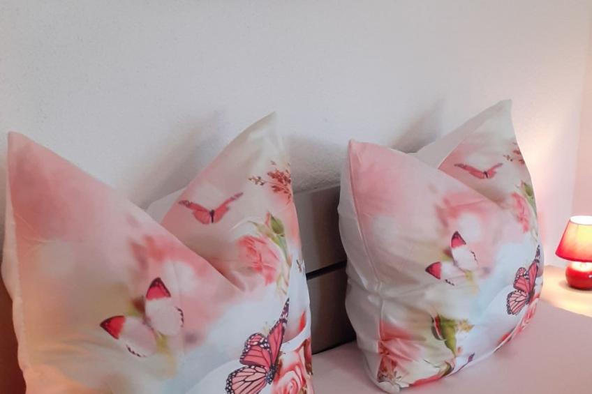 FeWo- Monteurwohnung - foto 4