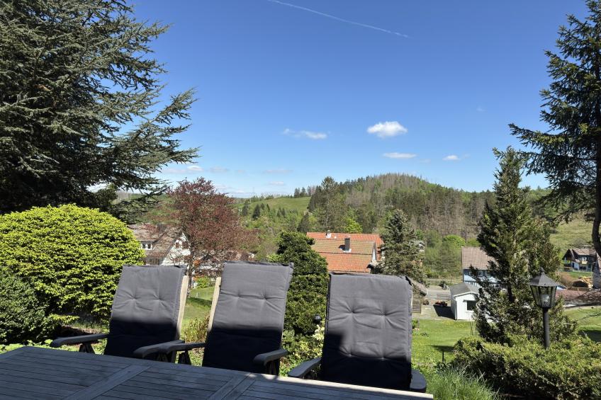 Vakantiewoning Bärenhütte, Altenau - Type B - foto 4
