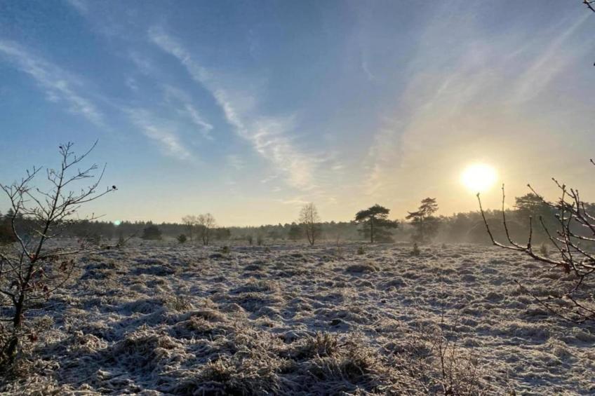 De Veluwse Eekhoorn - foto 36