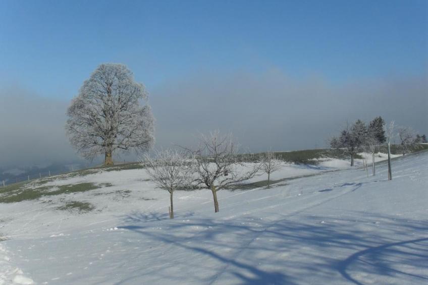 Ferienhof-Barenegg - foto 14