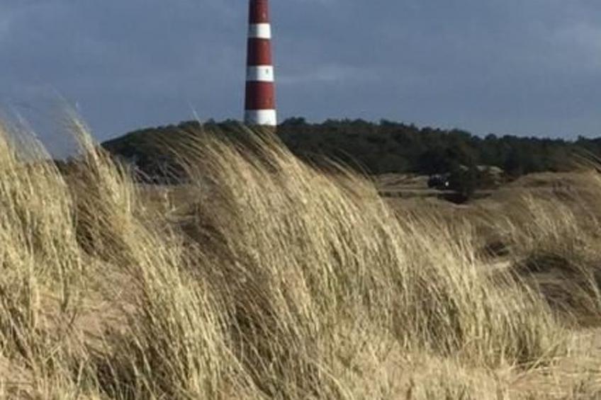 "Wad und Wal" mit Schwimmbad - foto 17