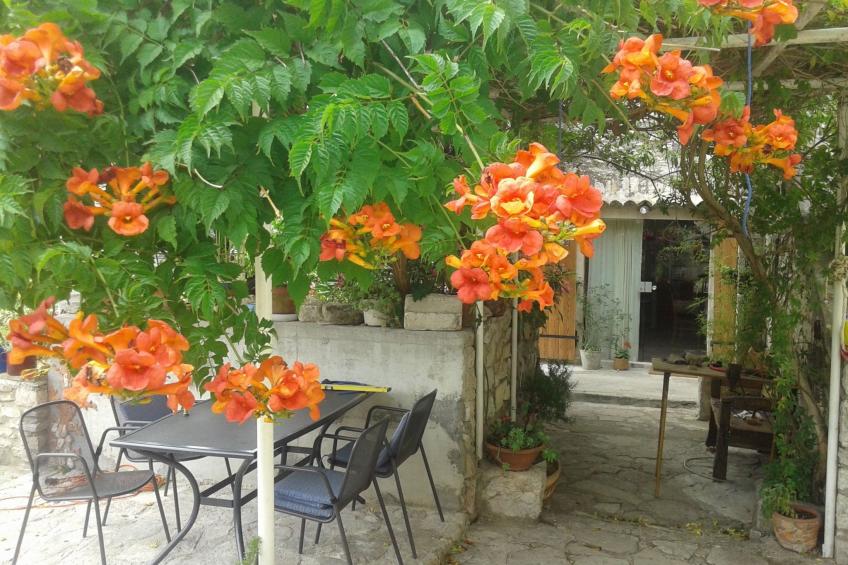 in Zlarin mit Schönem Garten - foto 17