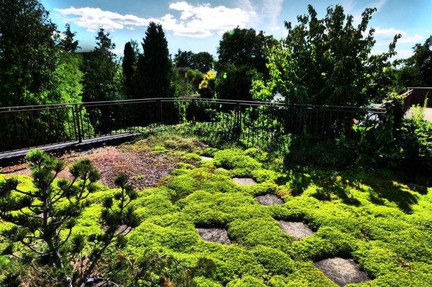 Wellness Pool JOSKA - foto 22