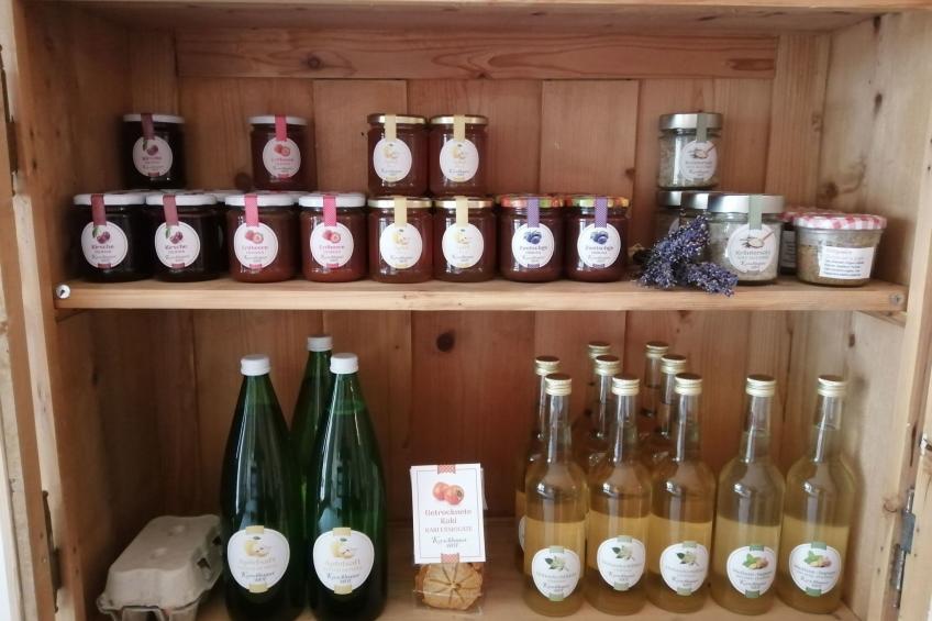 Gala+ Vernatsch - foto 39