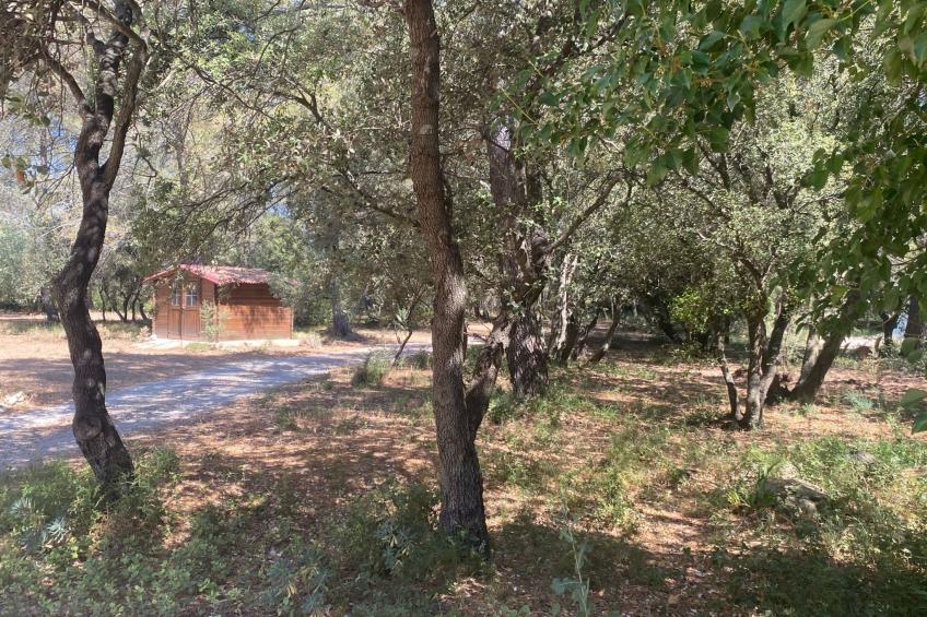 Studiowohnung mit Terrasse - Pool, Tennis, Bouleplatz - foto 28