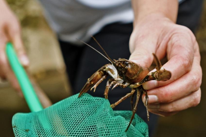 Wassermühle am Fluss - foto 19