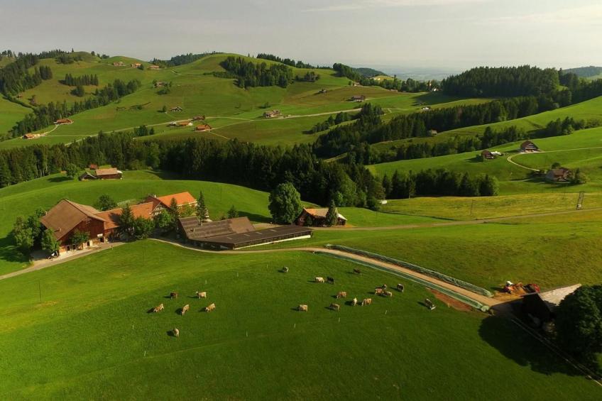 Alpakahof Ferien - foto 2