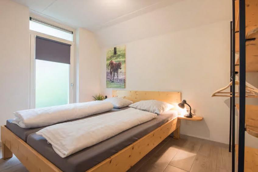 De Oeverzwaluw - foto 4