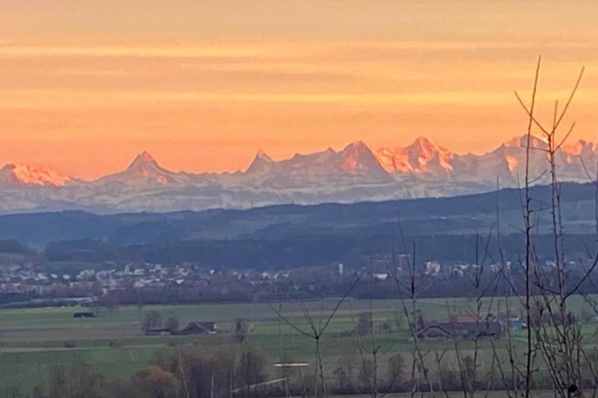 Ferienhaus Kronenburger See - foto 28