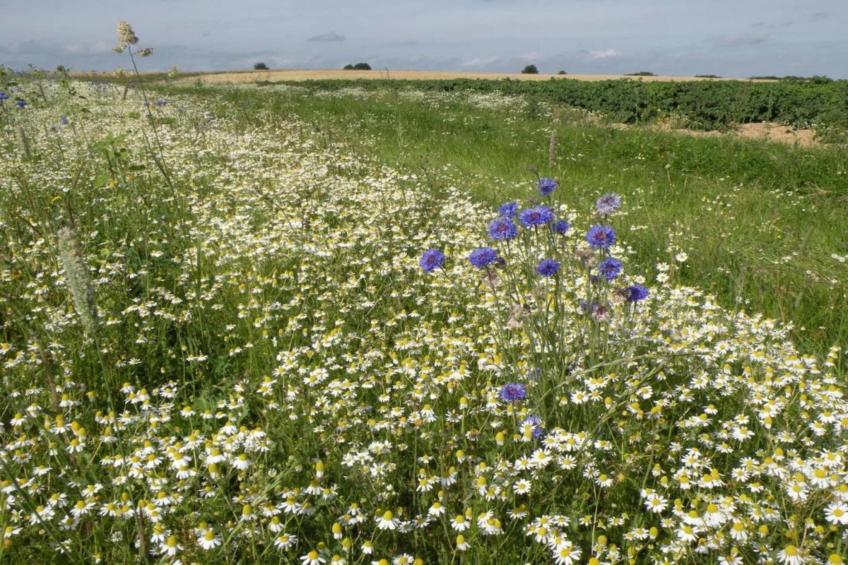Au Bord de Lesse 8 - foto 39
