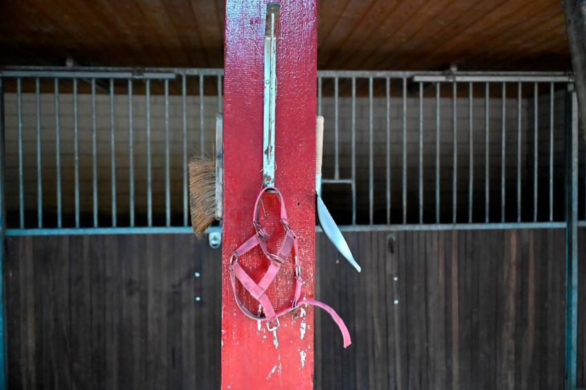 de Binnenhof - foto 53