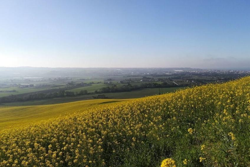 Villa Clair - foto 14