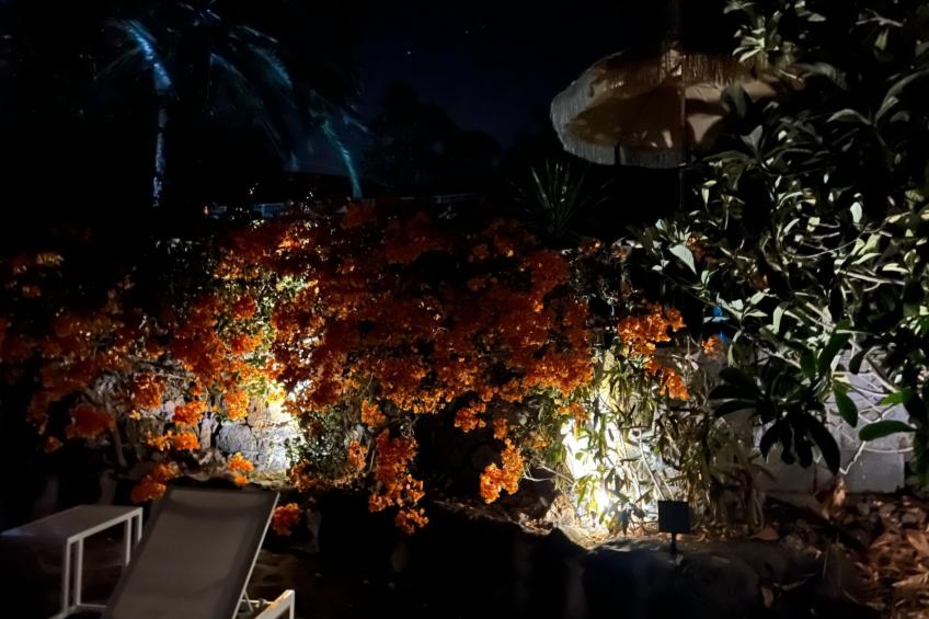 Casa Jardín Tropical - foto 22