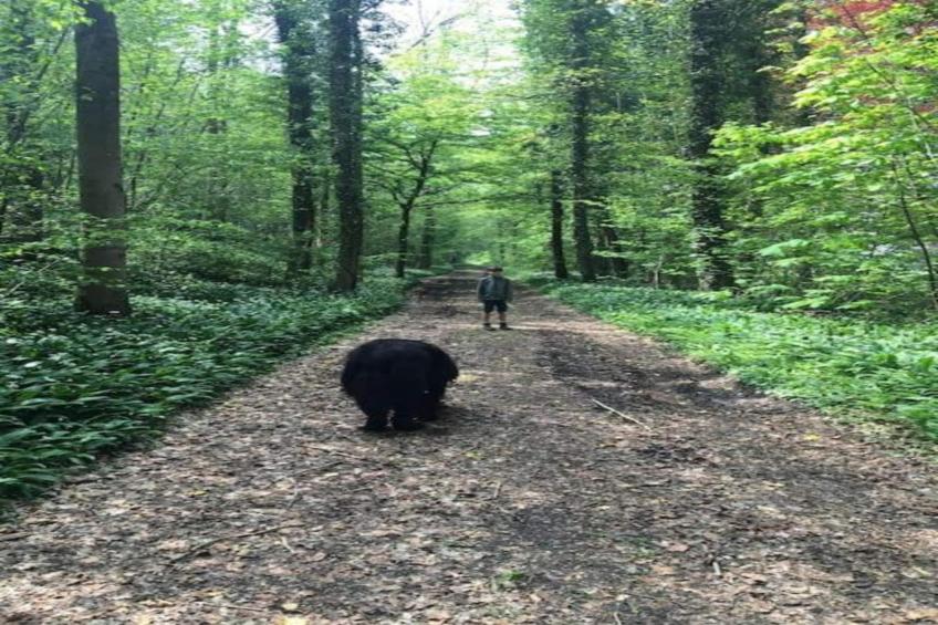 Les secrets du chat - foto 33