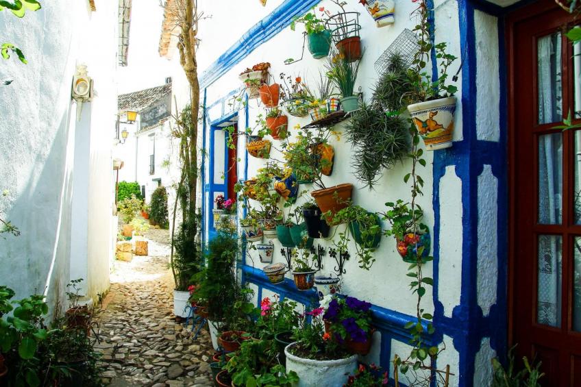 Wohnung "Castillo Castellar - foto 4