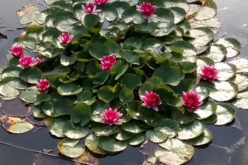 Großzügige Ferienwohnung mit toller Aussicht - foto 11
