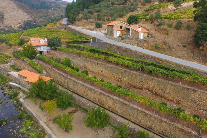 Landgut "Casa dos Caseiros - foto 6