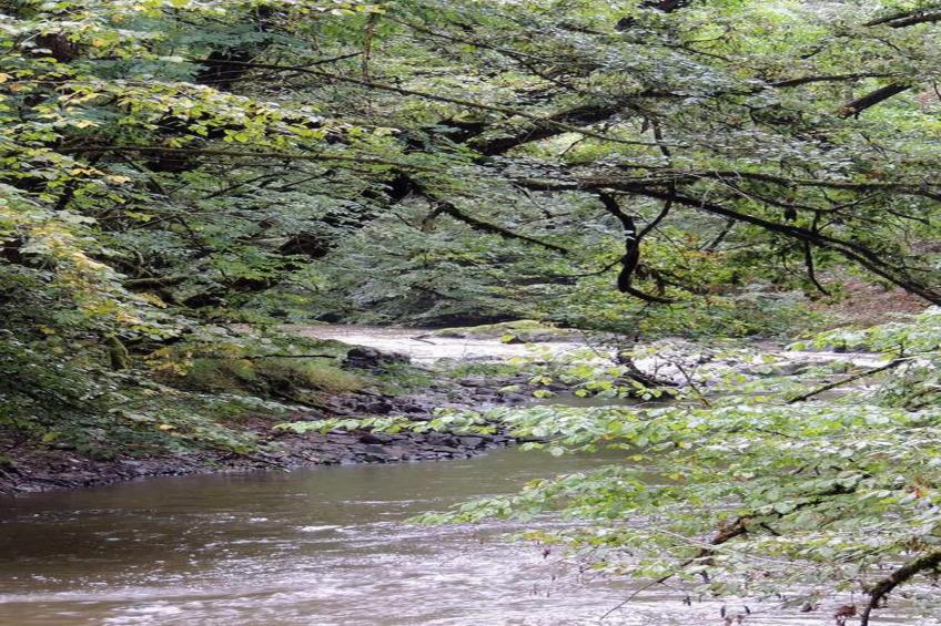 Le Haut Chambon - foto 24