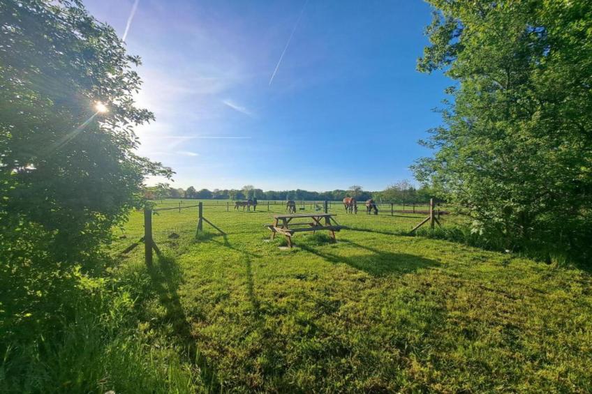 Vakantiepark De Lochemse Berg 1 - foto 14