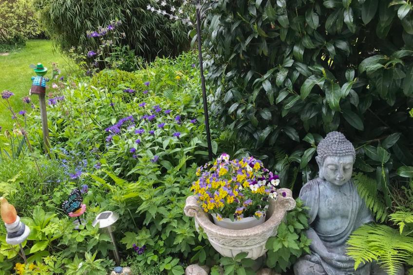 Böhmerwaldnest - foto 48