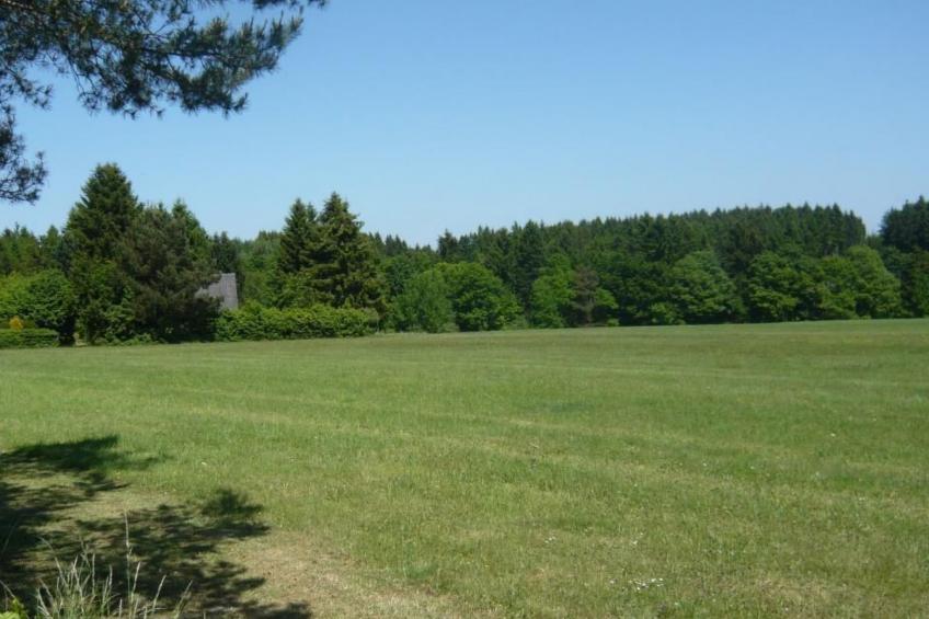 Eifelwaldhäuschen - foto 21