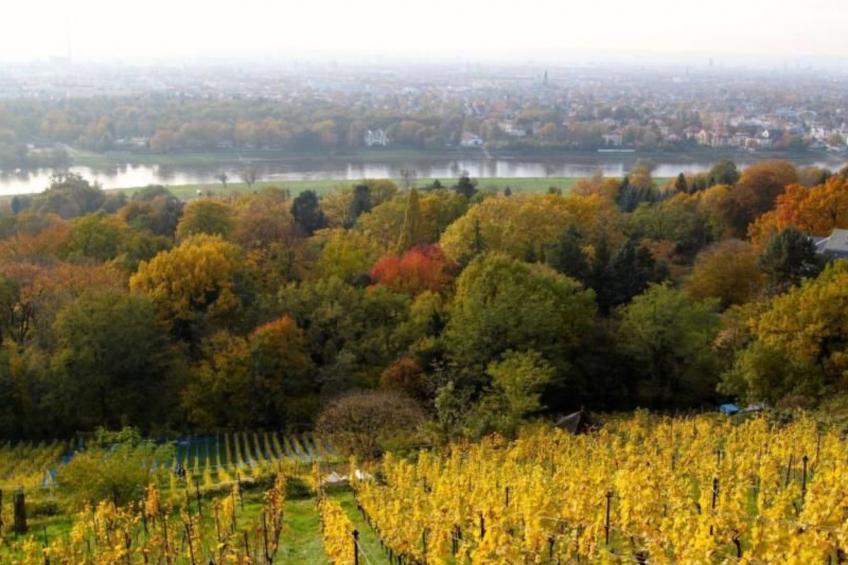 Fewo Natur und Kunst - foto 18