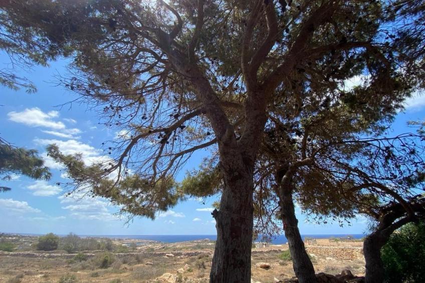 Mar D'Africa 2 von Holiday World - foto 6