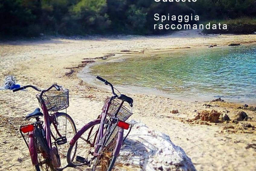 Trullo für Ferien in Apulien - foto 43