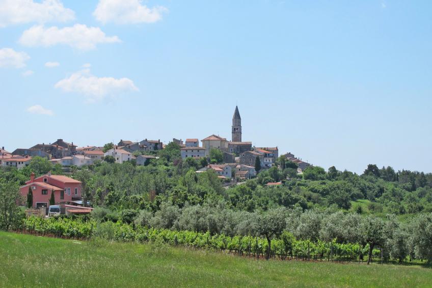 Dariocchi - foto 49