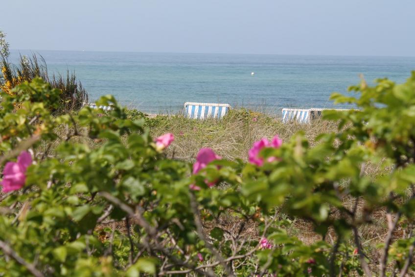 Zum Breitling - foto 26