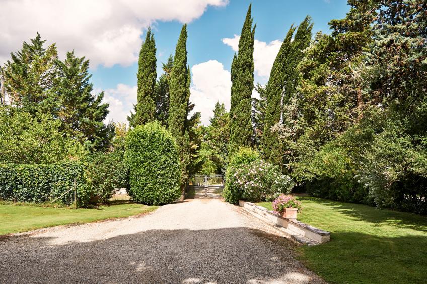 Il Bardeggiano (COL240) - foto 28