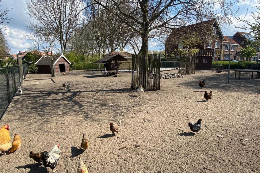 "Buurtweg185" mit Whirlpool - foto 26